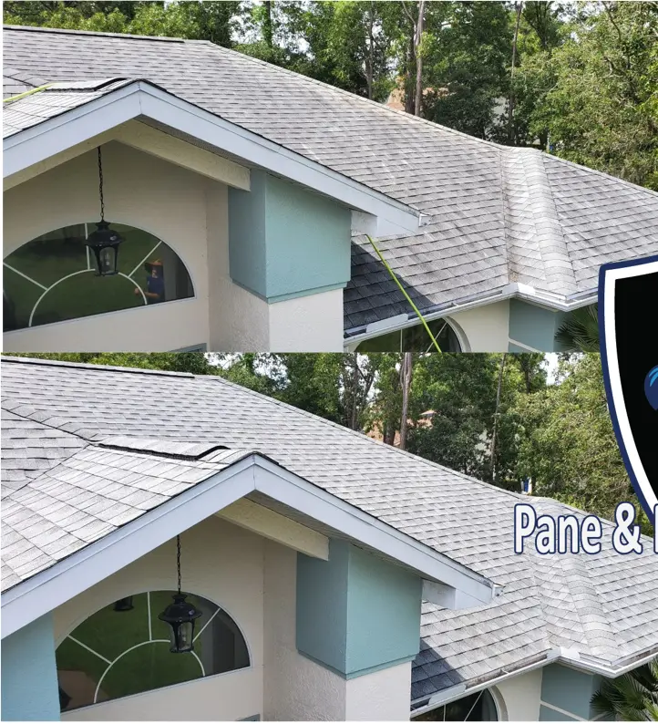 Professional roof cleaning in Citrus and Hernando County