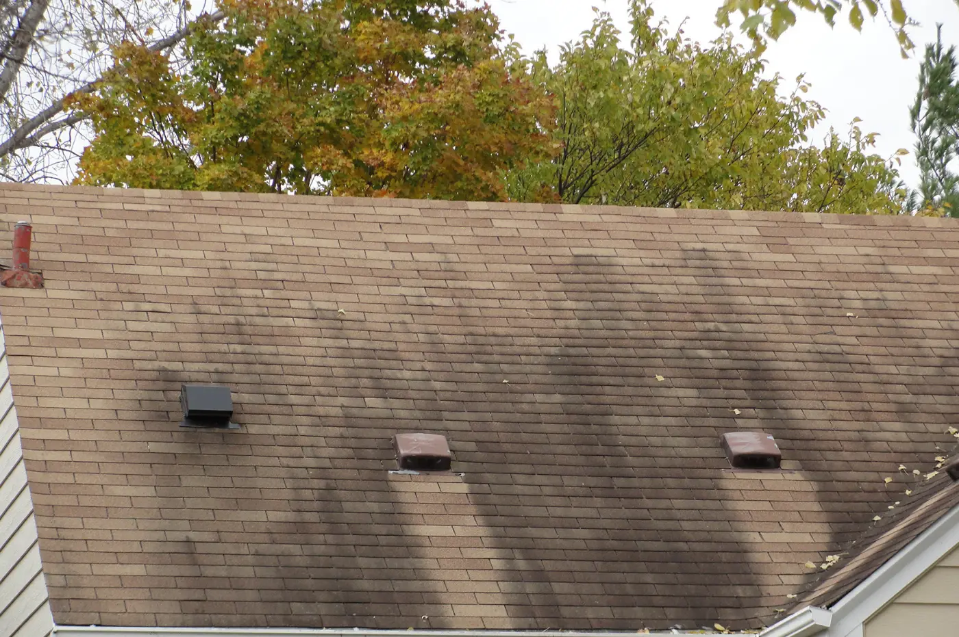 Roof with algae streaks that needs soft washing