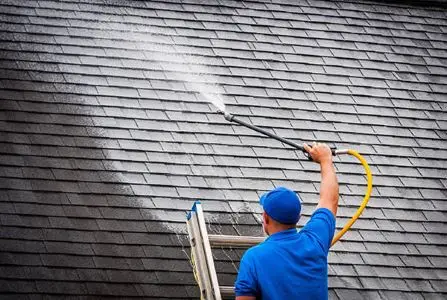 Soft wash roof cleaning service for tile roof in Florida